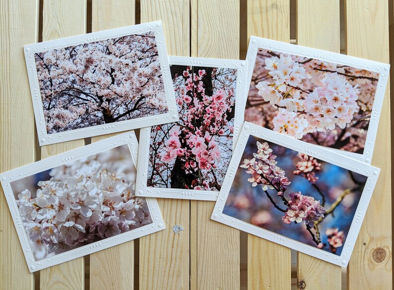 Cherry Blossoms Nature Photography 5 Blank Greeting Cards image 1