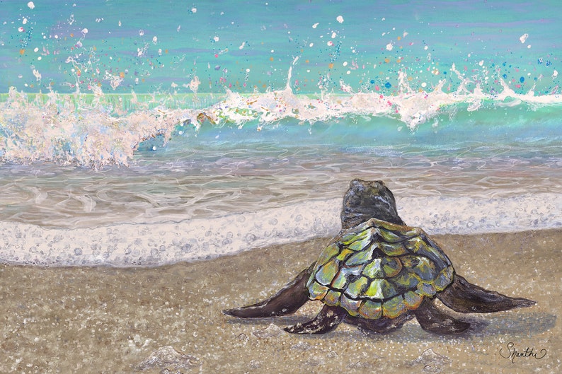 Art Print: “Baby Sea Turtle's First Splash”