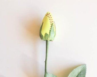 Softball rose