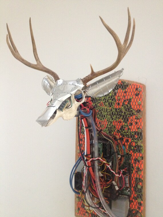 deer trophy