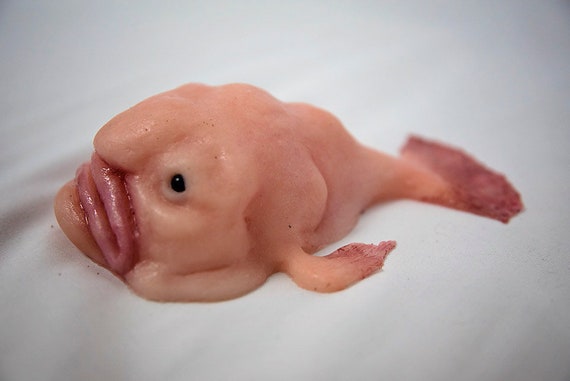 Blob Fish Sculpture 