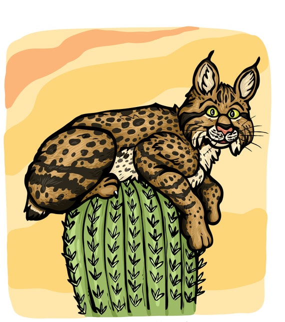 Cactus Bobcat Vinyl Stickers Wild Cat Kitty Cute Desert Animal Etsy