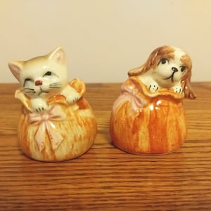 Kitten and Puppy in gift box bag salt and pepper shakers vintage