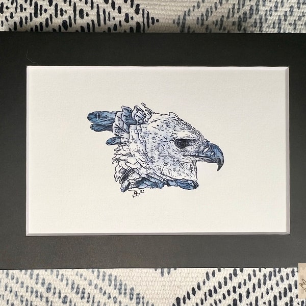 Harpy Eagle - 5”x7” Matted, Print