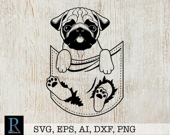 Download Pug svg | Etsy