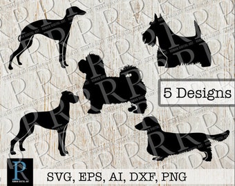 Long Haired Whippet Etsy