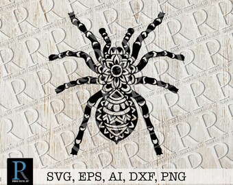 Download Spider Mandala Svg Etsy