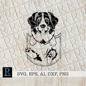 Berner Bergtasche SVG, Berner Sennenhund SVG, Hundetasche Design, Berner Sennenhund PNG, Welpe in der Tasche svg, einschichtig