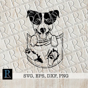 Jack Russell SVG File, Jack Russell Cut File, Jack Russell in pocket, Jack Russell Cricut, Jack Russell Silhouette, single layered