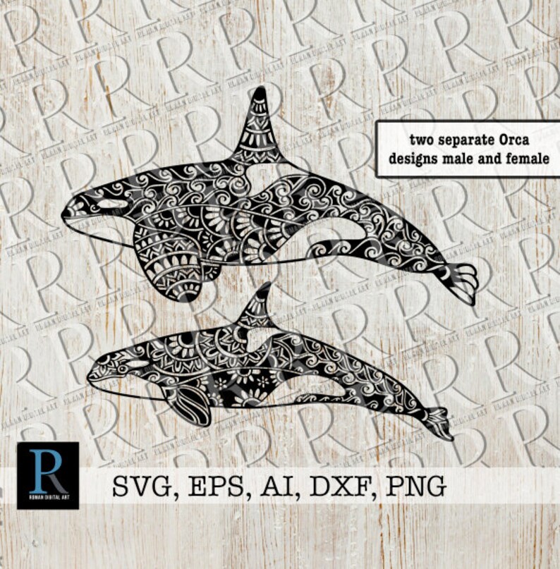 Download Orca Whale SVG Killer Whale SVG Zentangle Orca SVG Mandala ...