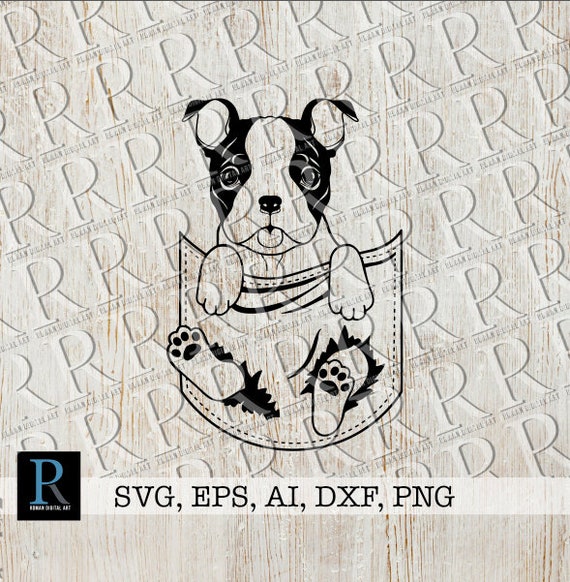 Boston Terrier Puppy Svg Boston Terrier Pocket Cut File Etsy