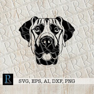 Great Dane SVG Cut File, Cricut Dog Design, single layered