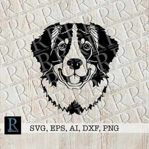 Berner Berg SVG, Berner Berg Schnittdatei, Berner Berg Cricut, Berner Berg Silhouette, einlagig