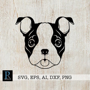 Boston Terrier SVG, Boston Terrier Cut File, Boston Terrier Cricut, single layered