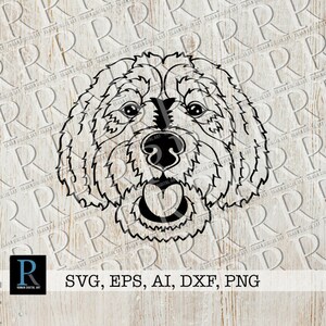 Golden Doodle Hund SVG-Datei, Goldendoodle Cut File, Labradoodle Cut File, Goldendoodle SVG, einschichtig