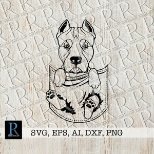 Dogo Argentino em Pocket SVG: Design de Camada Única