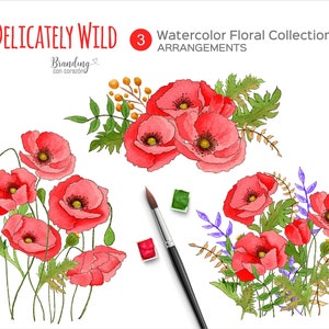 Fleurs d’aquarelle. Fichiers d’images clipart et png, coquelicots rouges et verts. Utilisation commerciale gratuite. Téléchargement numérique immédiat 0002