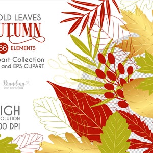 Herbstbilder. Clipart Herbst blätter rot, grün und gold. Vector, CLIpart PNG und EPS. Kostenlose kommerzielle Nutzung. Sofortiger digitaler Download