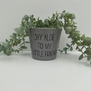 Grey Ceramic plant pots, personalised quotes, indoor planters