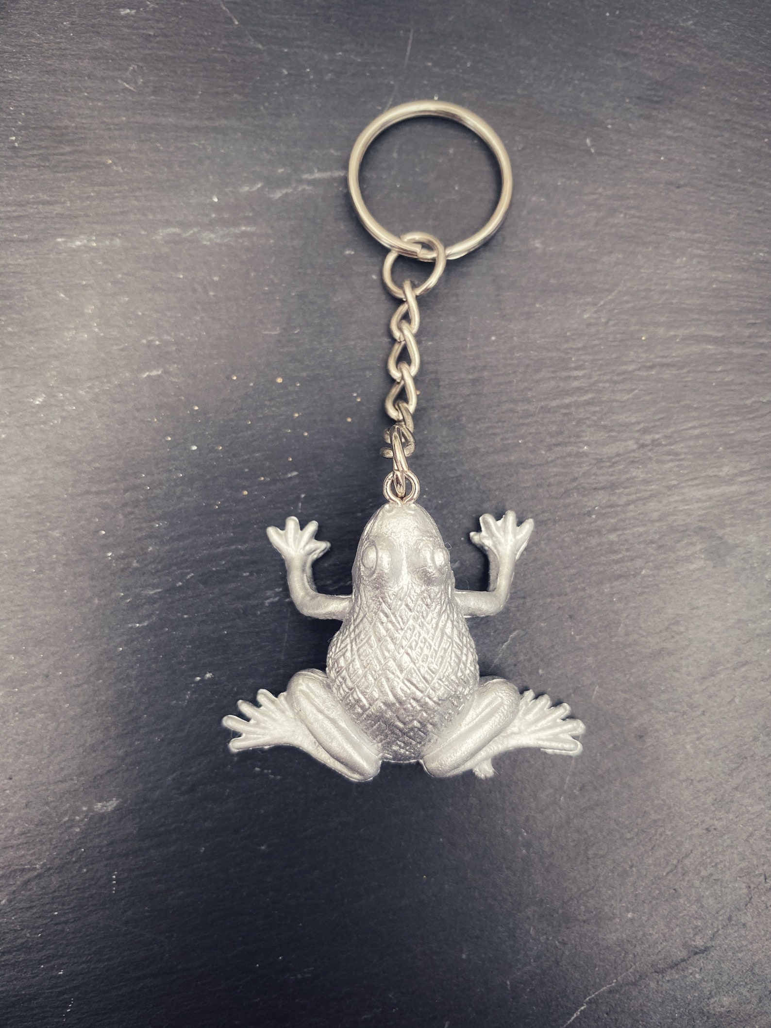 Frog keyring // Frog gift // Silver painted Frog keyring Etsy