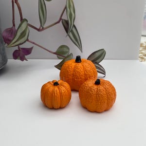 May include: Three small, orange pumpkins with black stalks are displayed on a white surface. The pumpkins vary in size and have textured surfaces. A trailing plant with green and purple leaves is in the background, adding a touch of natural colour.