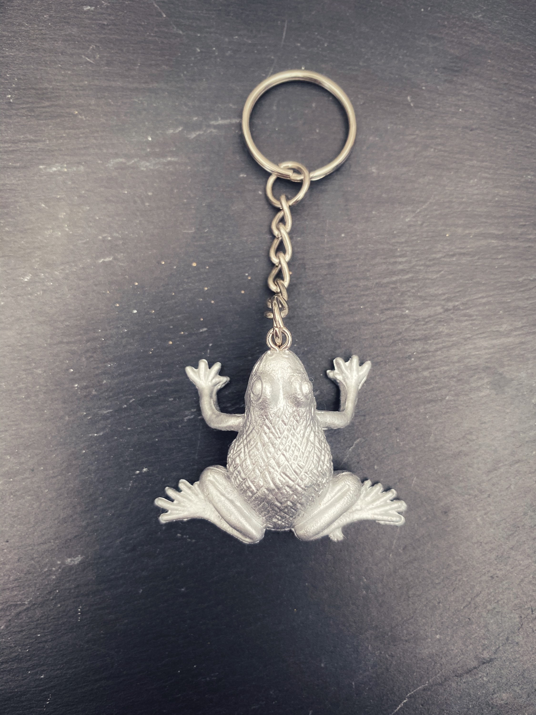 Frog keyring // Frog gift // Silver painted Frog keyring Etsy