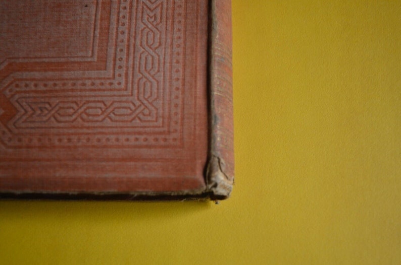May include: Close-up of a vintage book's cover and spine. The cover is a faded reddish-brown with an embossed geometric pattern. The spine shows wear and tear, with a yellow background.