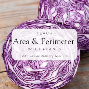 Teach Area and Perimeter with Plants | Hands-On  Math and Measurement Activities | STEM Projects | Homeschool Printable pdf
