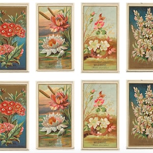 Juego de memoria floral: tarjetas de flores imprimibles, arte floral antiguo, actividad de cuidado de la memoria para niños y adultos mayores