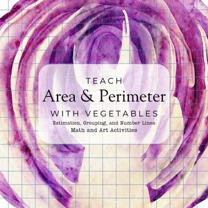 Wiskundeles omtrek en oppervlakte | geometrie | meeteenheid | thuisschoolplan | Op Waldorf-geïnspireerde thuisschool