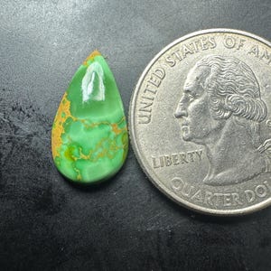 May include: A teardrop-shaped gemstone with a vibrant green hue and intricate golden-brown veining. The gemstone is positioned next to a U.S. quarter coin for size comparison, showcasing its compact size and unique pattern.
