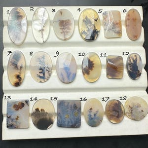 Puede incluir: Una colección de dieciocho piedras preciosas de ágata dendrítica pulida, en diversas formas, incluyendo ovaladas, rectangulares y redondas. Las piedras muestran intrincados patrones en tonos marrones, blancos y azules, que recuerdan paisajes naturales.