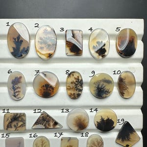 Pode incluir: Uma coleção de 19 cabochões de ágata com padrões dendríticos em tons de marrom, preto e branco. Os cabochões estão dispostos em filas em um quadro de exibição branco com os números de 1 a 19.