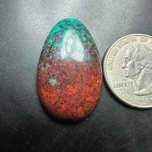 May include: A polished, teardrop-shaped cabochon gemstone featuring a vibrant blend of turquoise, deep red, and black mineral inclusions. The stone is positioned next to a United States quarter coin for scale, showing its relative size and smooth surface.