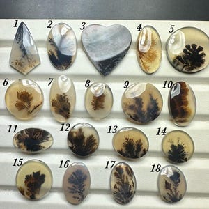 Scenic Agate Cabochon; Natural Dendritic Inclusion Loose Gemstone
