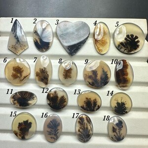Cabochon d'agate pittoresque ; pierre précieuse brute avec inclusion dendritique naturelle