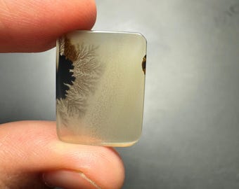 May include: A rectangular, translucent gemstone with a unique dendritic pattern. The stone is held between fingers, showcasing a natural, organic design. The pattern resembles a dark, tree-like formation against a light background. The stone has a polished finish.