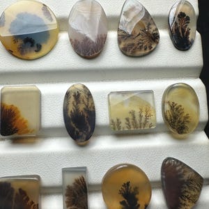 Puede incluir: Una colecci&oacute;n de once cabujones de &aacute;gata dendr&iacute;tica pulida dispuestos en tres filas. Estas piedras transl&uacute;cidas presentan diversas formas, incluyendo c&iacute;rculos, &oacute;valos y rect&aacute;ngulos, cada una con inclusiones &uacute;nicas de color marr&oacute;n oscuro y negro.