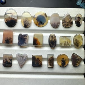 natural dendritic agate loose cabochon