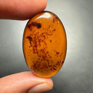 Top Grade Baltic Amber Cabochon || Oval 15.80 Ct. Amber Cabochon || Handcrafted Baltic Amber - Natural Inclusions || Pendant Gemstone ||
