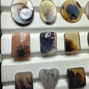 Puede incluir: Una colecci&oacute;n de cabujones de &aacute;gata dendr&iacute;tica pulida en varias formas, incluyendo ovalada, redonda, rectangular y de coraz&oacute;n. Cada piedra presenta tonos transl&uacute;cidos beige, bronceado y crema con inclusiones oscuras en forma de helecho.