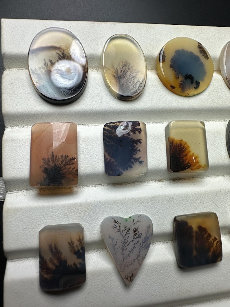 Puede incluir: Una colecci&oacute;n de cabujones de &aacute;gata dendr&iacute;tica pulida en varias formas, incluyendo ovalada, redonda, rectangular y de coraz&oacute;n. Cada piedra presenta tonos transl&uacute;cidos beige, bronceado y crema con inclusiones oscuras en forma de helecho.