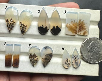 Scenic Dendritic Agate Cabochon Pairs – Natural Dendrite Landscape Gemstone