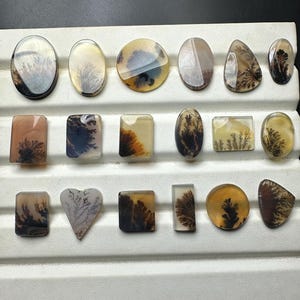 Puede incluir: Una colecci&oacute;n de diecisiete cabujones de &aacute;gata dendr&iacute;tica pulidos, dispuestos en tres filas sobre una bandeja de exhibici&oacute;n blanca. Cada piedra presenta inclusiones &uacute;nicas de color negro o marr&oacute;n con forma de &aacute;rbol sobre un fondo crema.