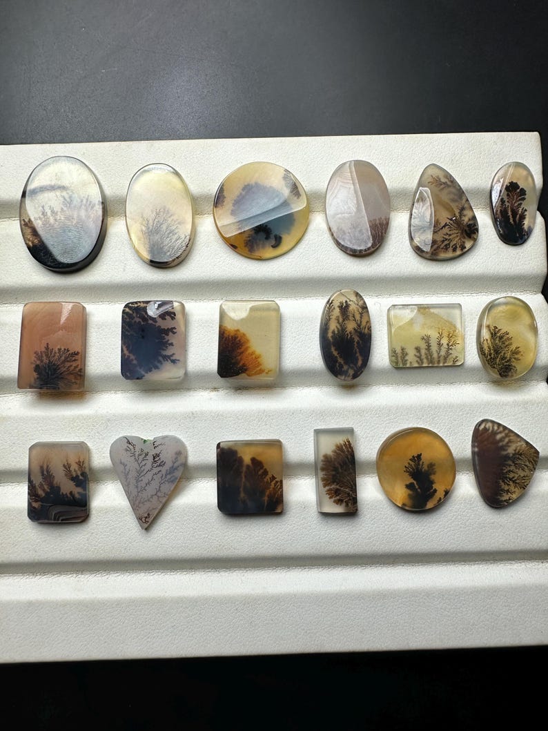 Puede incluir: Una colecci&oacute;n de diecisiete cabujones de &aacute;gata dendr&iacute;tica pulidos, dispuestos en tres filas sobre una bandeja de exhibici&oacute;n blanca. Cada piedra presenta inclusiones &uacute;nicas de color negro o marr&oacute;n con forma de &aacute;rbol sobre un fondo crema.