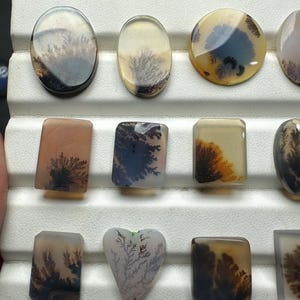 Puede incluir: Una colecci&oacute;n de cabujones de &aacute;gata dendr&iacute;tica pulida en varias formas, incluyendo ovaladas, rectangulares y en forma de coraz&oacute;n. Cada piedra presenta fondos transl&uacute;cidos, lechosos o bronceados con inclusiones oscuras y ramificadas.