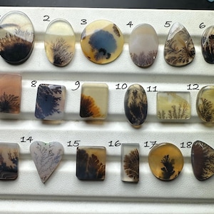 scenic agate cabochon
