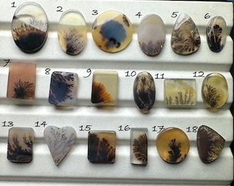 Scenic Agate Slices : Natural Dendritic Inclusion Mixed Shape Cabochon