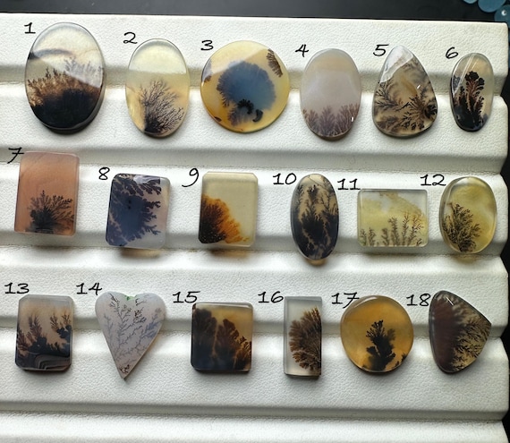 Scenic Agate Slices : Natural Dendritic Inclusion Mixed Shape Cabochon