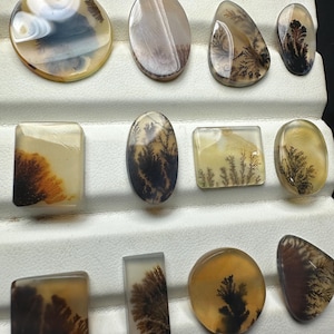 Puede incluir: Una colecci&oacute;n de once cabujones de &aacute;gata dendr&iacute;tica pulida en varias formas, incluyendo redondas, ovaladas, rectangulares y triangulares. Cada piedra transl&uacute;cida presenta inclusiones &uacute;nicas en forma de helecho de color marr&oacute;n oscuro y negro sobre un fondo crema.